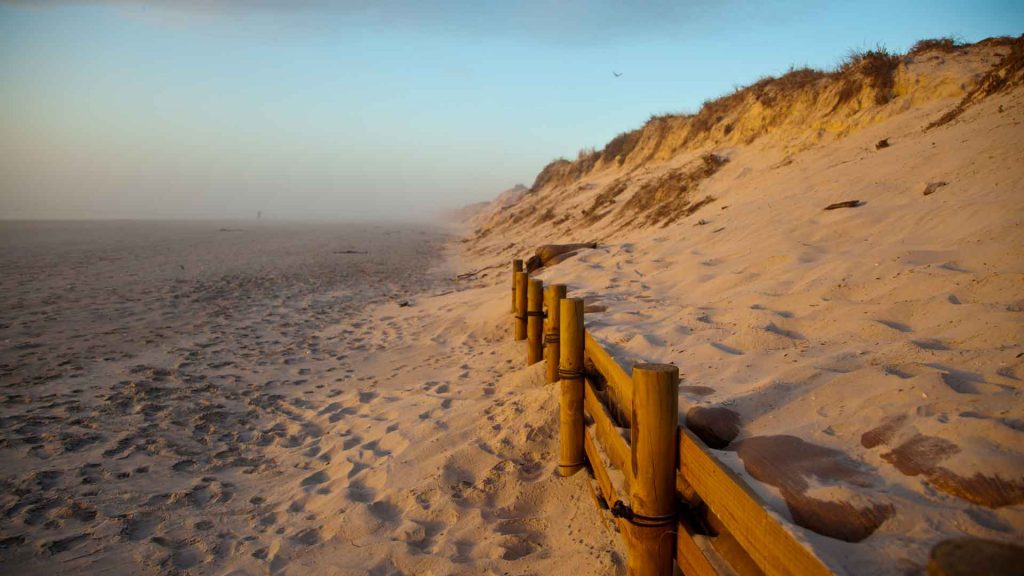 What-You-Should-Know-About-Guadalupe-Nipomo-Dunes-on-civicdaily