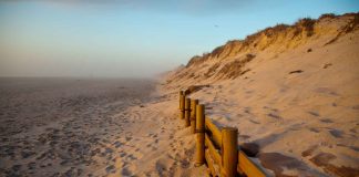 What-You-Should-Know-About-Guadalupe-Nipomo-Dunes-on-civicdaily