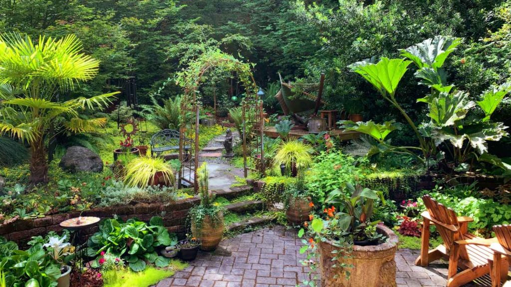 Thankful-Items-of-the-Garden-That-I-Have-This-Year-on-civicdaily
