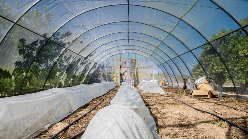 Few-Tips-on-Winter-Mini-Greenhouse-for-Sale-on-civicdaily