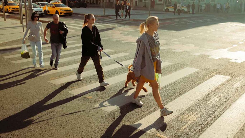 What Evidence Can Strengthen Your Pedestrian Accident Claim on civicdaily